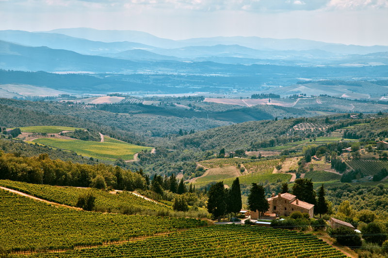 Proposal Photographer in Chianti & the Tuscan wine country
