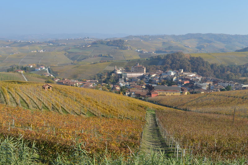 Proposal Photographer in Langhe, Barolo & the Piedmont wine hills