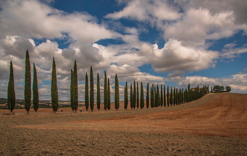Photography in Val d'Orcia, Italy