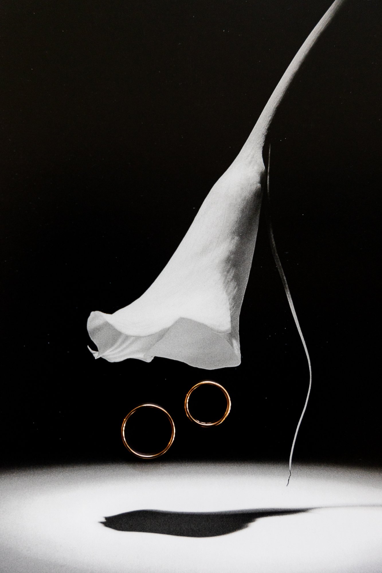 Bodas