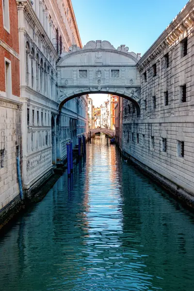 Content Creator photoshoot in Venice by Brunetto Z