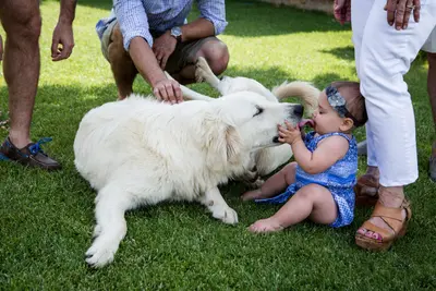 Family photoshoot in Siena by Marco M